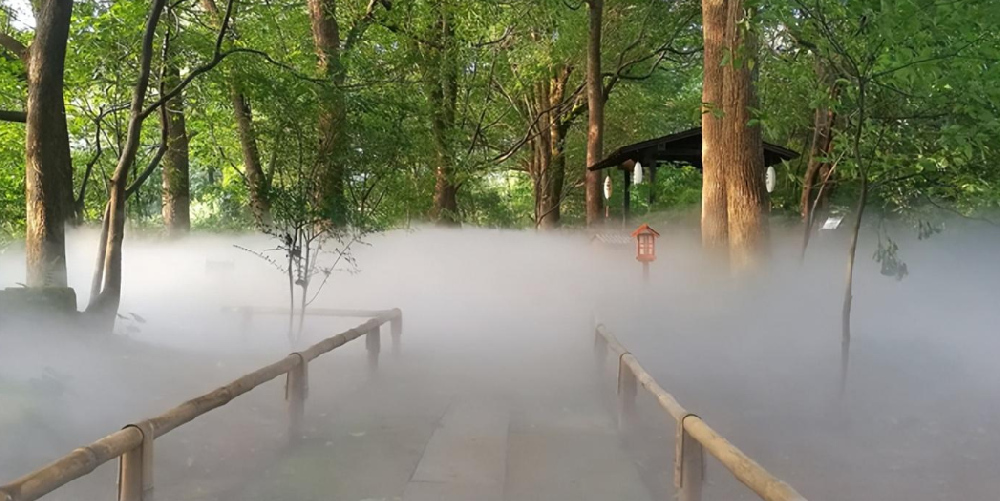 1706061158152502.png image.png